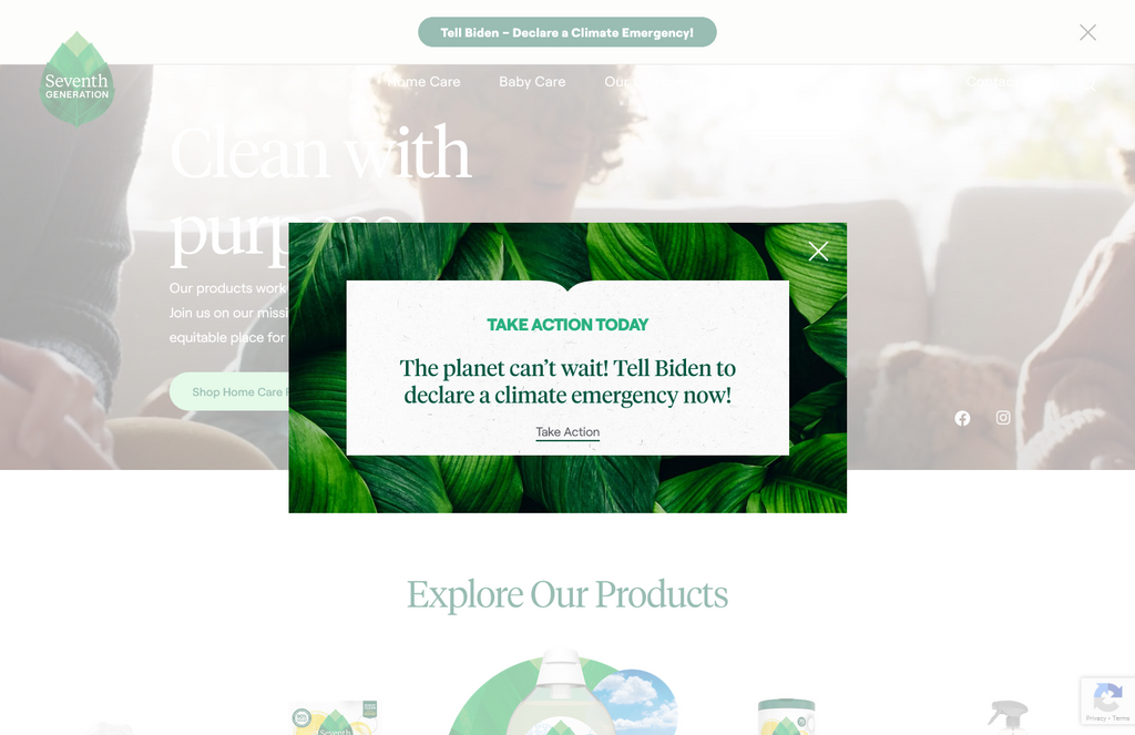 Website Design & Creation for green cleaning products website URL 2