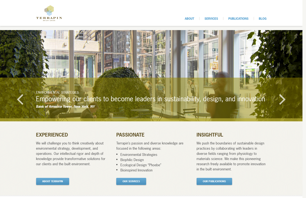 Website Design & Creation for green consulting website URL 4