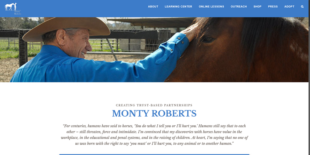 Website Design & Creation for horse training website URL 2