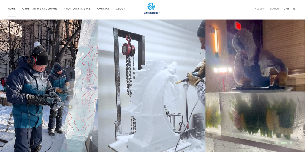 Website Design & Creation for ice sculpture website URL 1