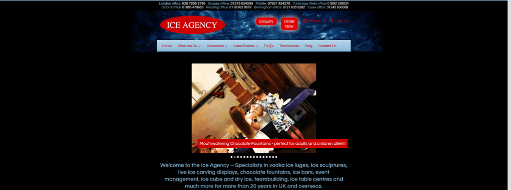 Website Design & Creation for ice sculpture website URL 2