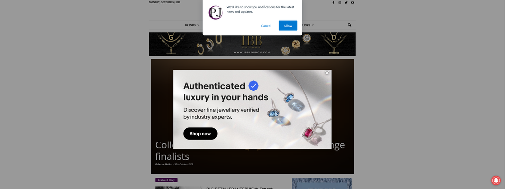 Website Design & Creation for jewellery retail website URL 3