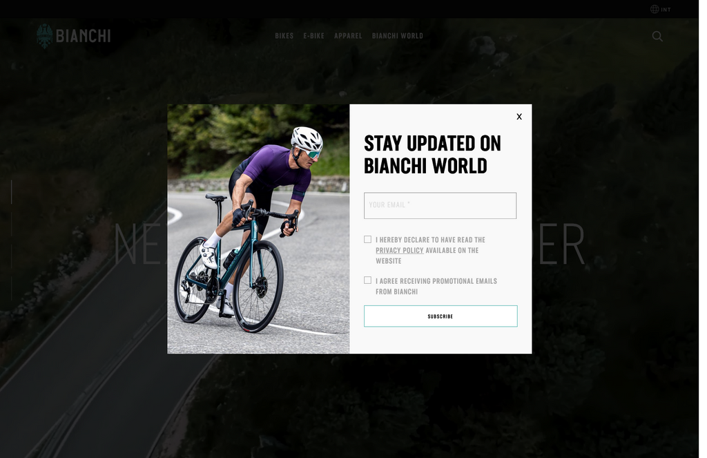 Website Design & Creation for luxury bike website URL 2