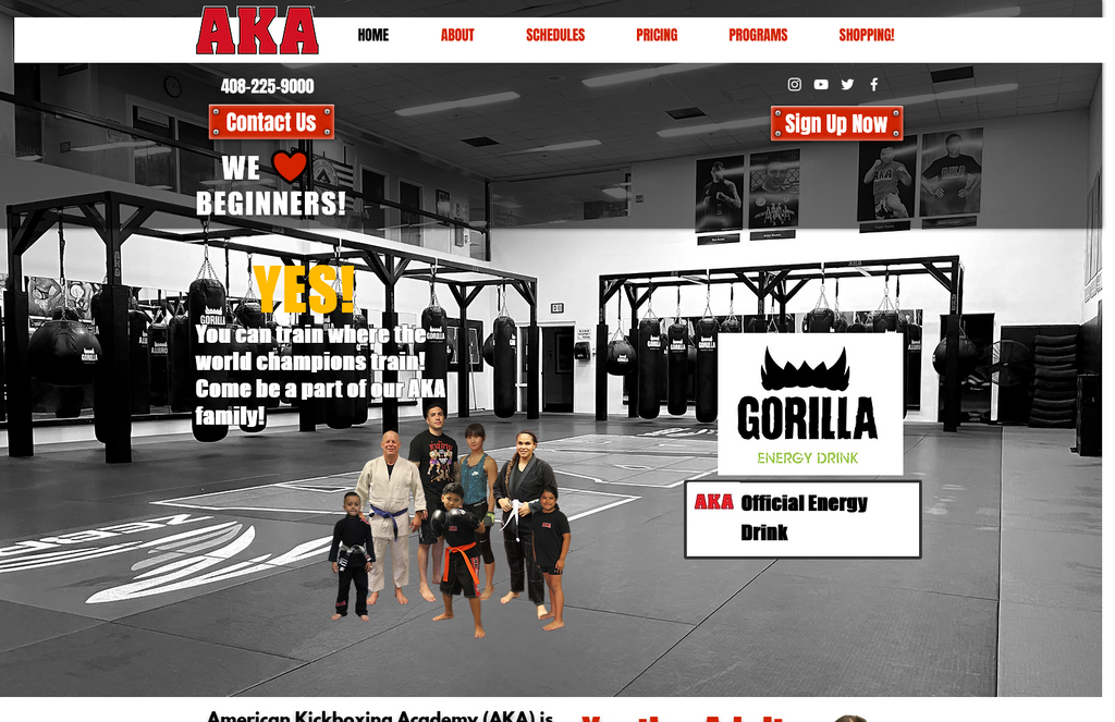 Website Design & Creation for martial artis studio website URL 5