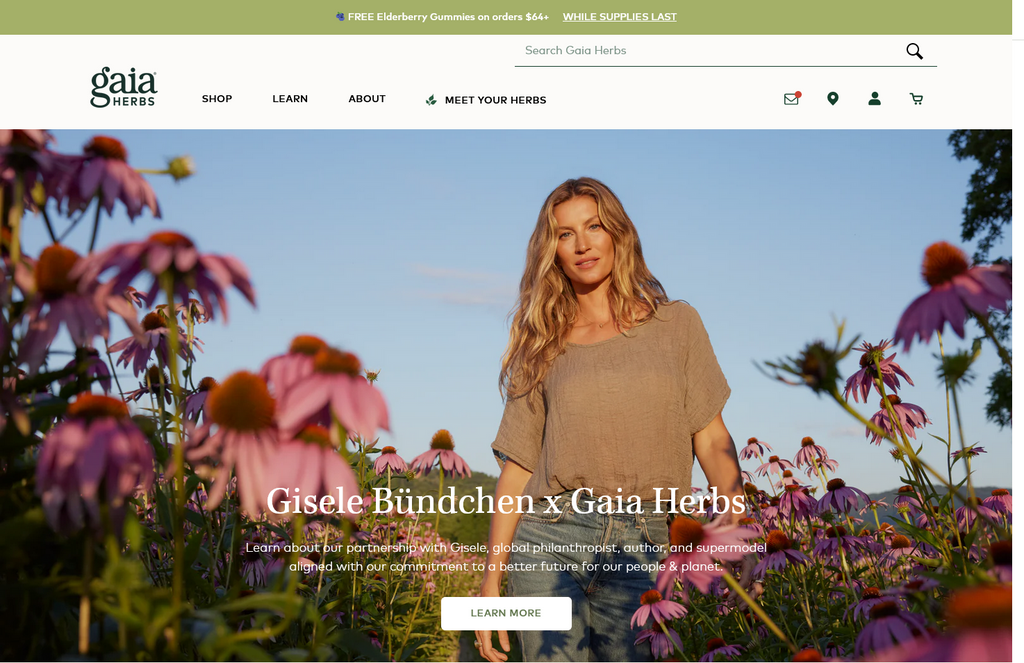 Website Design & Creation for medicinal herbs website URL 2