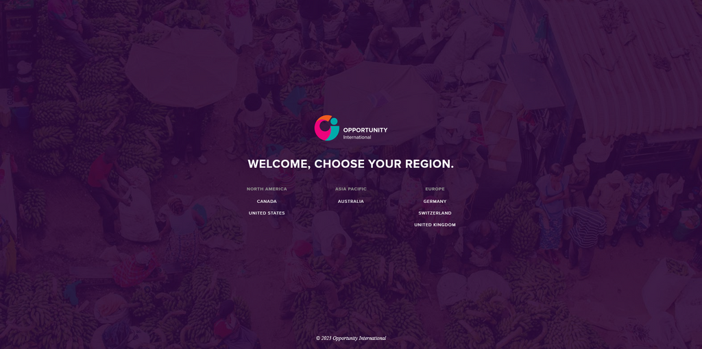 Website Design & Creation for microfinance website URL 1