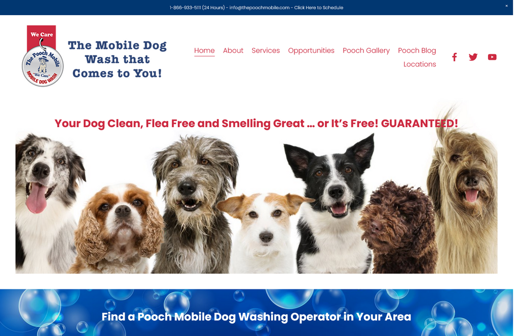 Website Design & Creation for mobile dog grooming website URL 4