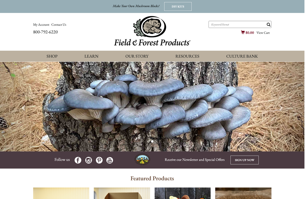 Website Design & Creation for mushroom farm website URL 3