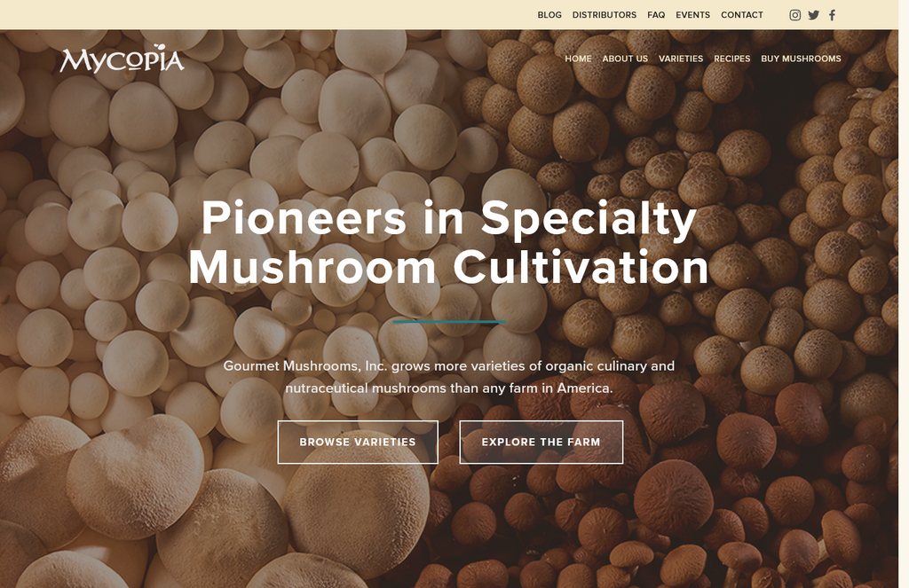 Website Design & Creation for mushroom farm website URL 5