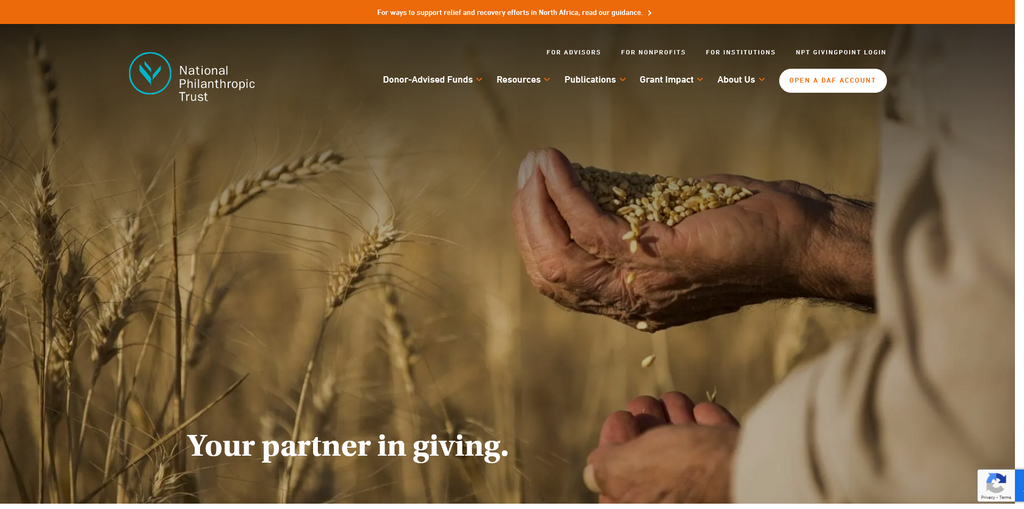 Website Design & Creation for nonprofit organization website URL 1