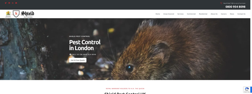 Website Design & Creation for pest control service website URL 3