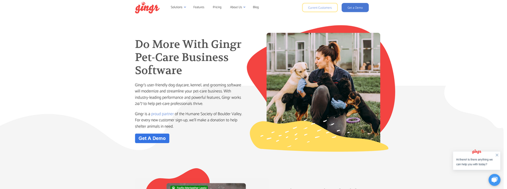 Website Design & Creation for pet grooming website URL 1