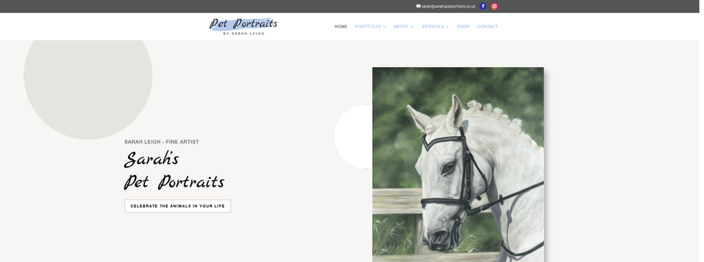 Website Design & Creation for pet portraits website URL 2