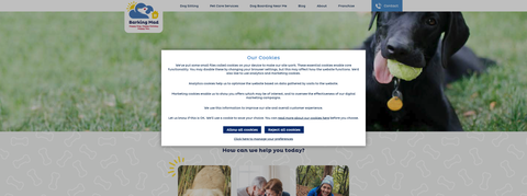 Website Design & Creation for pet taxi website URL 5