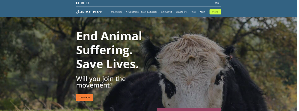 Website Design & Creation for petting zoo website URL 2