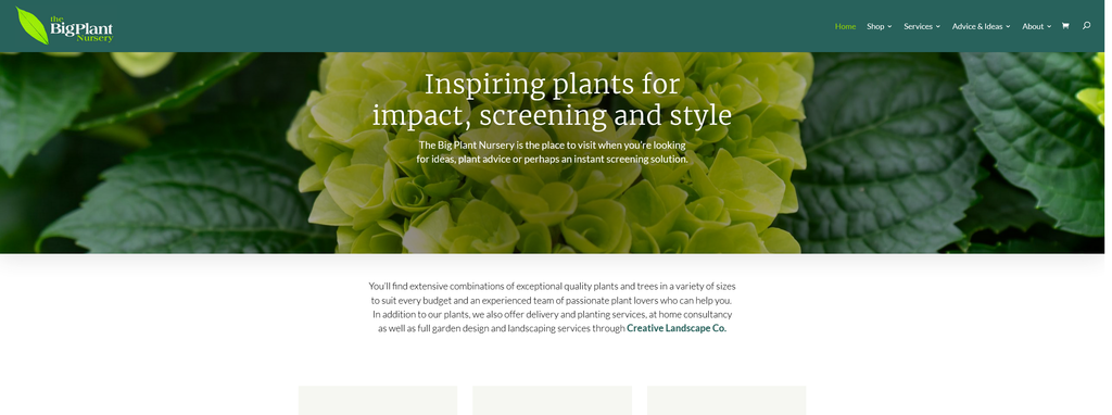 Website Design & Creation for plant nursery website URL 1
