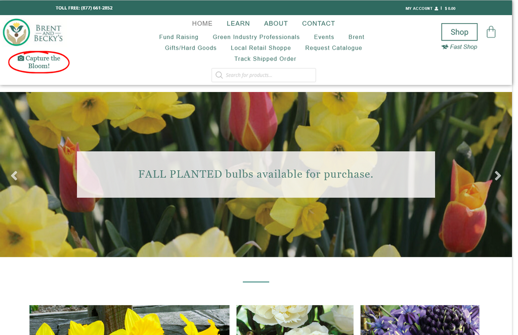 Website Design & Creation for plant nursery website URL 3