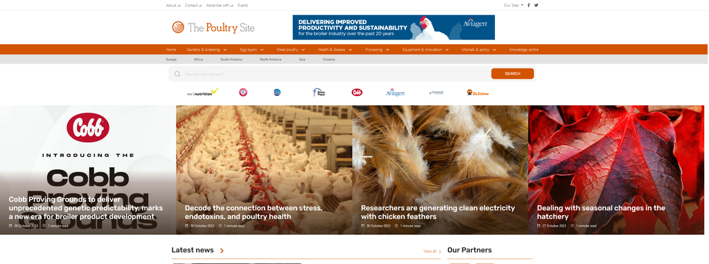 Website Design & Creation for poultry farm website URL 2