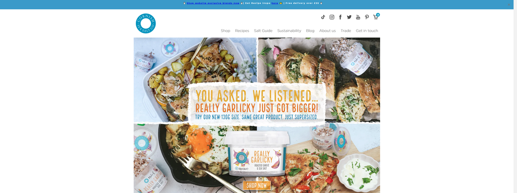 Website Design & Creation for sea salt website URL 5