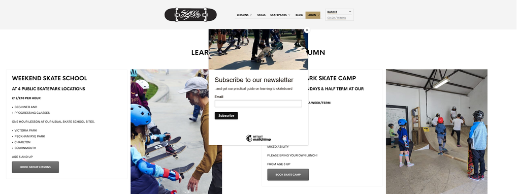 Website Design & Creation for skateboarding lessons website URL 2