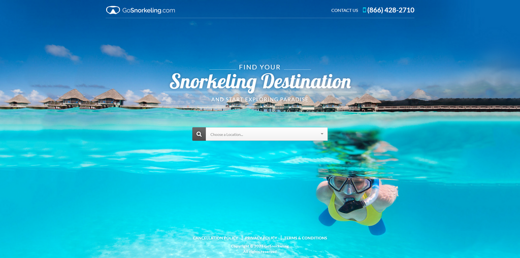 Website Design & Creation for snorkeling website URL 1