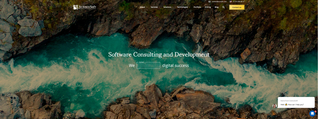 Website Design & Creation for software consulting website URL 1