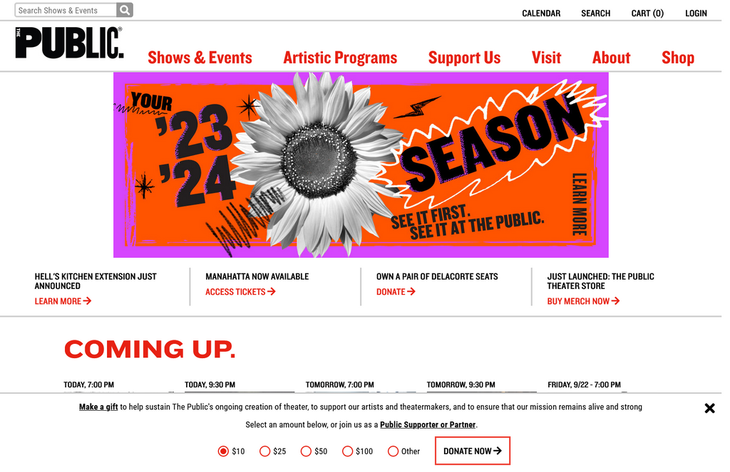 Website Design & Creation for theatre company website URL 4