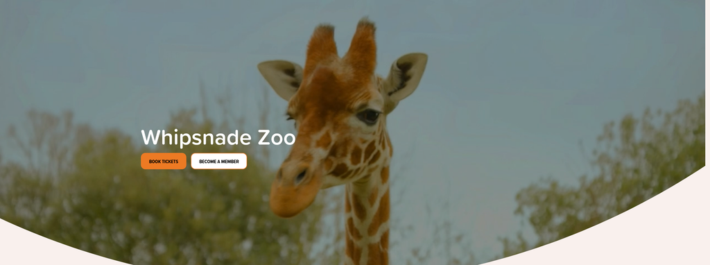 Website Design & Creation for zoo website URL 1