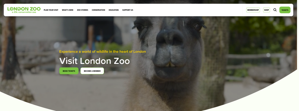 Website Design & Creation for zoo website URL 2
