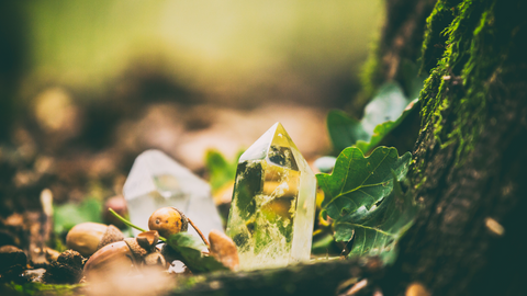 Citrine crystal on the forest floor