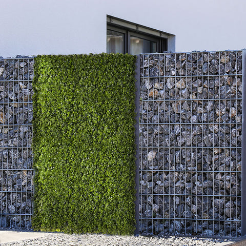 Cloture vegetale séparation modulable gabion - Green Upp