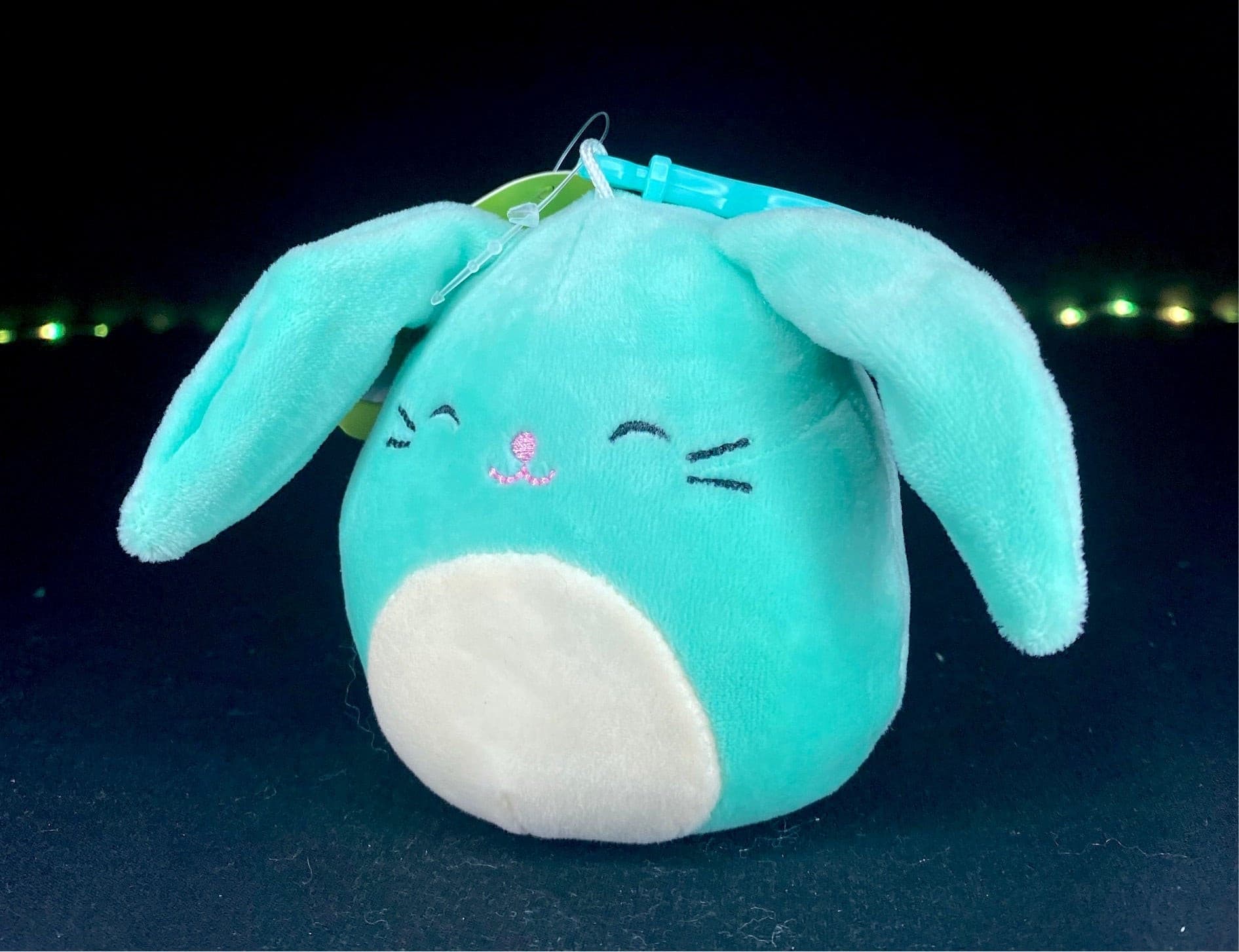 sammy bunny squishmallow