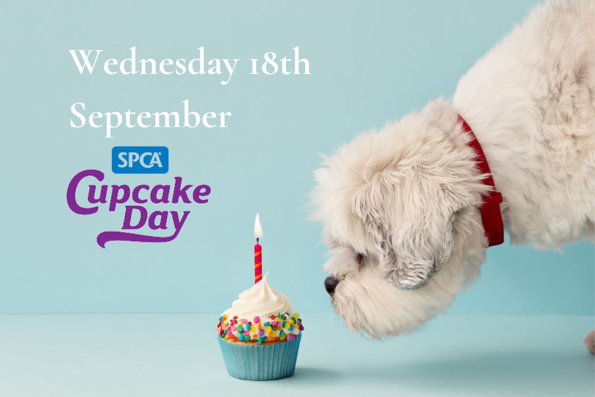 SPCA Cupcake Day 2024 Milly's