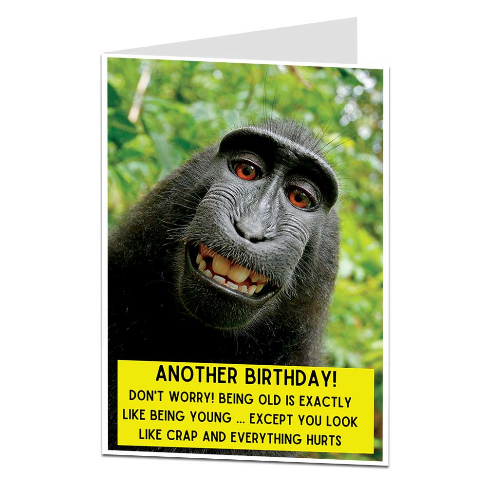 LimaLima | Funny Silly & Rude Greeting Cards | From £1.00