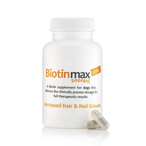 BiotinMax - Ace Canine Healthcare