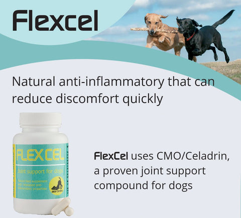 FlexCel CMO/Celadrin canine anti-inflammatory - Ace Canine Healthcare