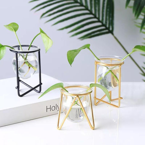 Glass Propagation Vase as Desktop Decoration