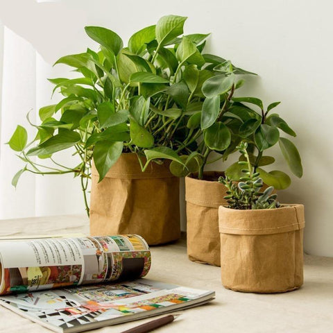 Washable paper planter bags - The perfect eco-friendly solution