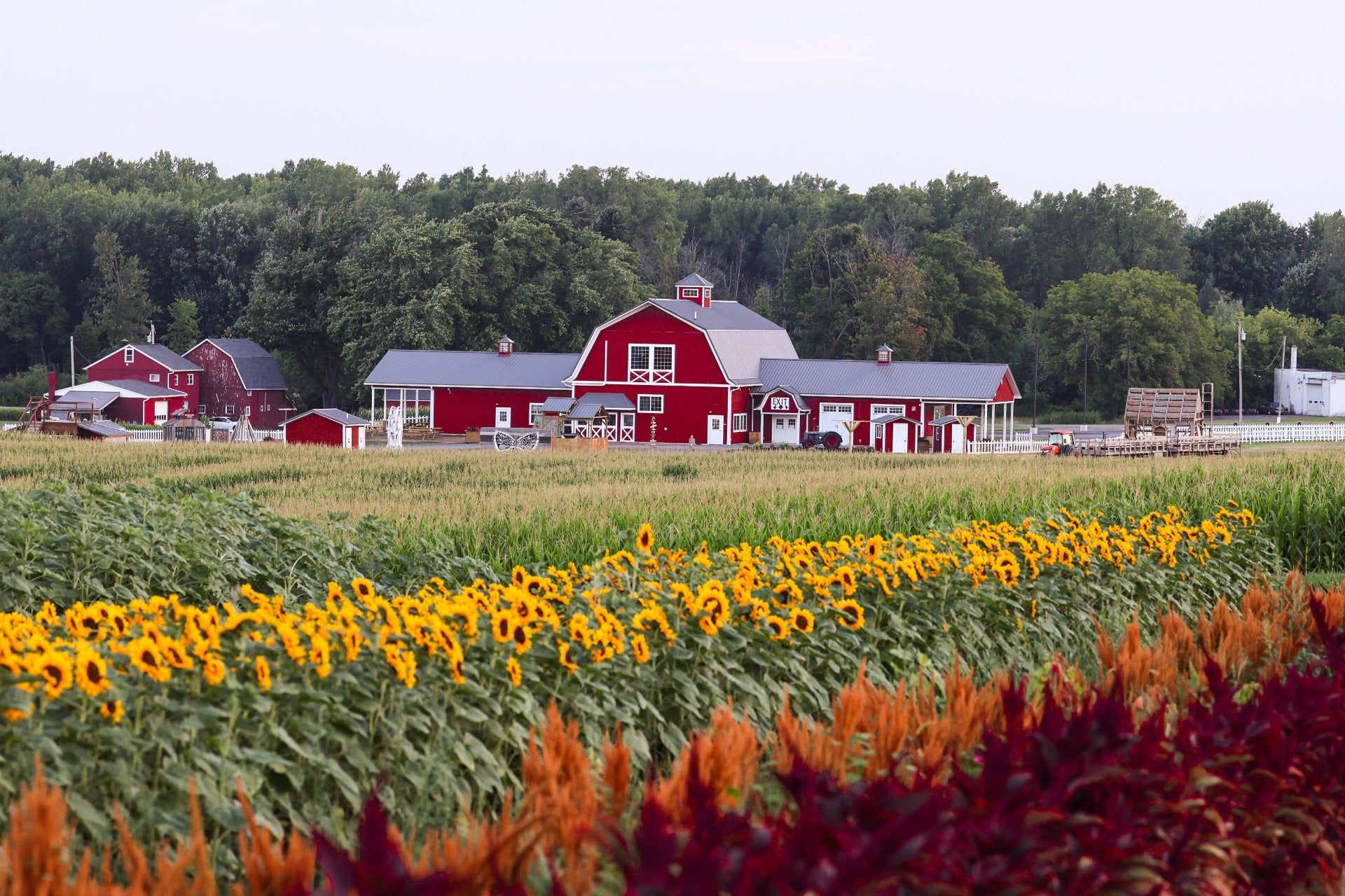 Big barn and flowers