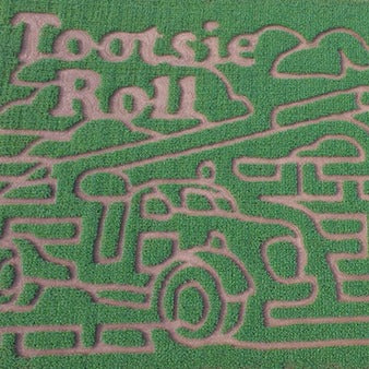 Corn Maze Drone Photo