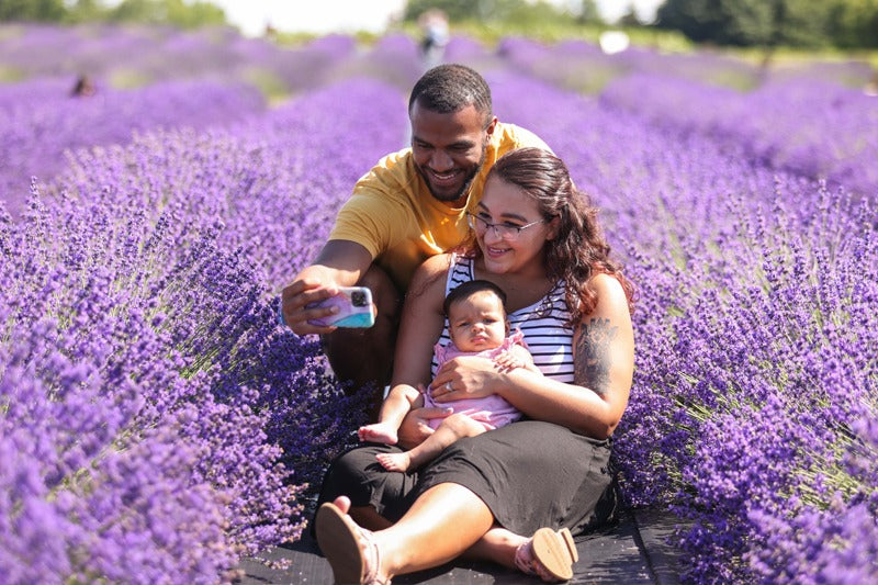 Family photo in lavender