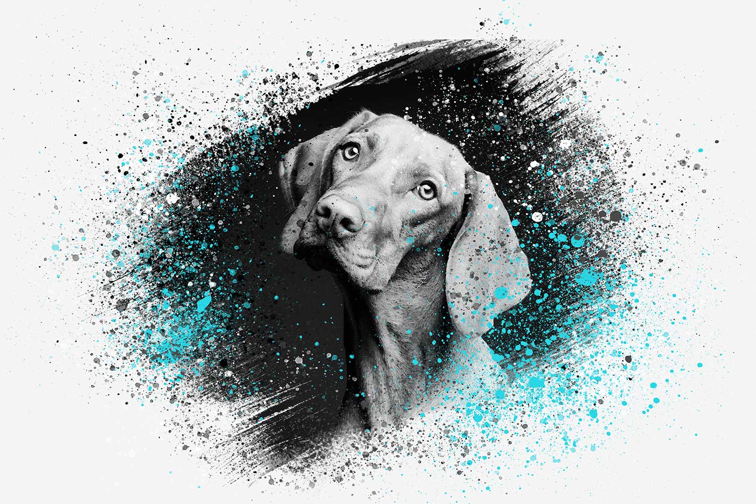 paint splash pet portrait