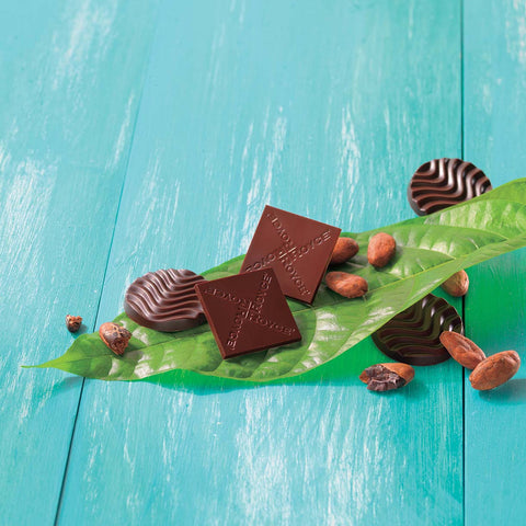 Image shows chocolate discs and squares on a leaf with cacao beans.