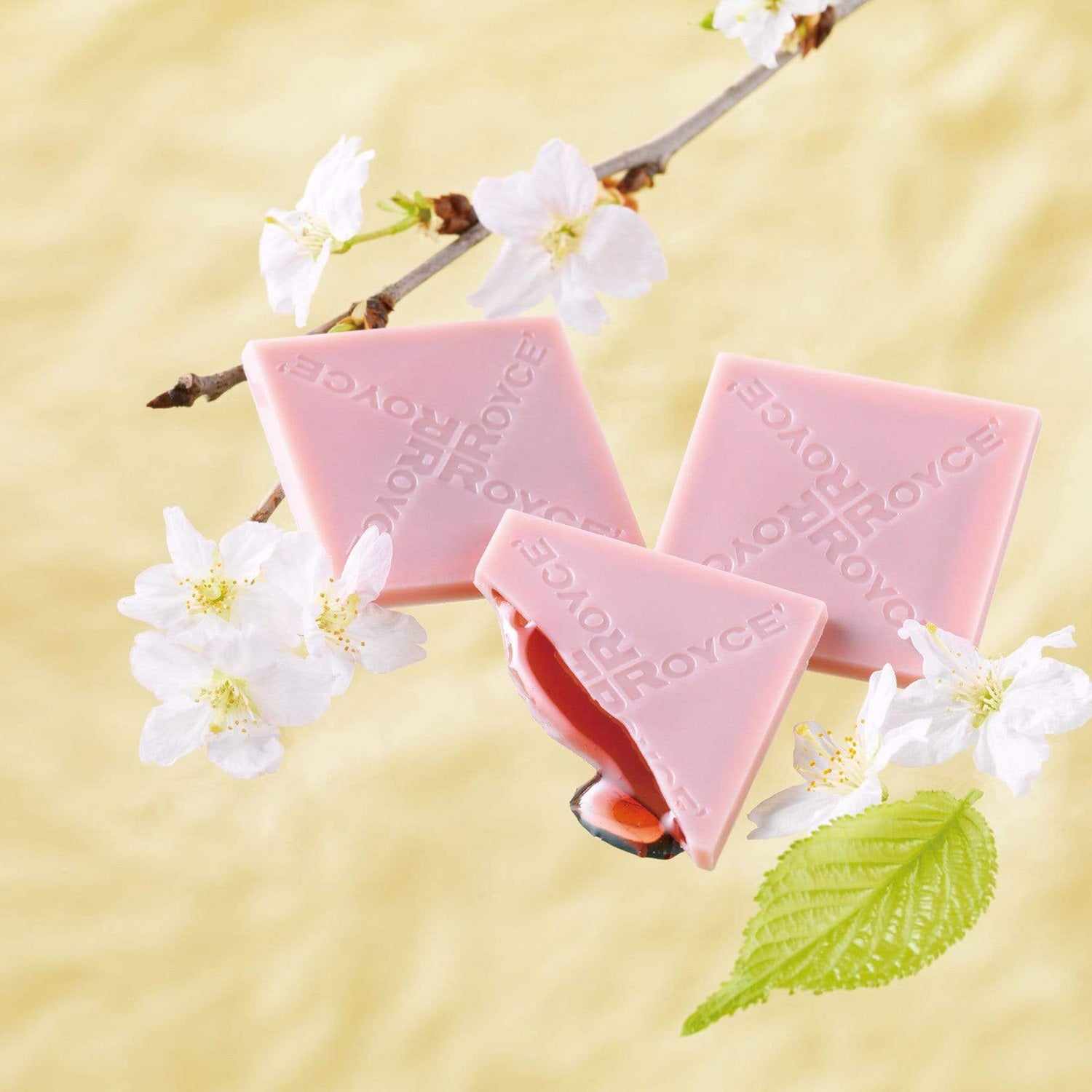 Savor the taste of spring with Royce Chocolate's Sakura Collection! 🌸🍫  Experience cherry blossom bliss from the comfort of your h