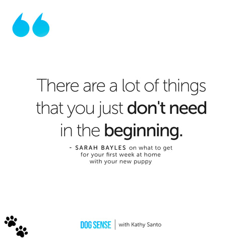 [Image Quote: "There are a lot of things that you just don't need in the beginning." - Sarah Bayles]