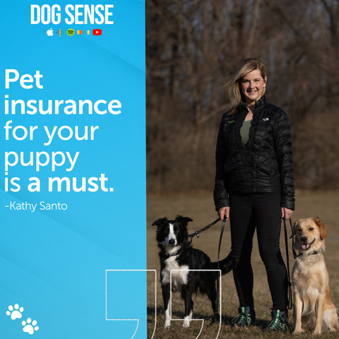 [Image Quote: "Pet insurance for your puppy is a must." - Kathy Santo]