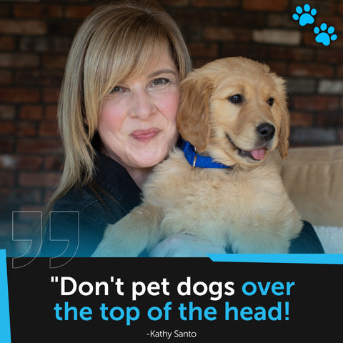 [Image quote: "Don't pet dogs over the top of the head!"]