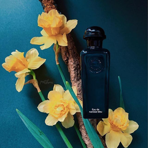 narcisse bleu hermes