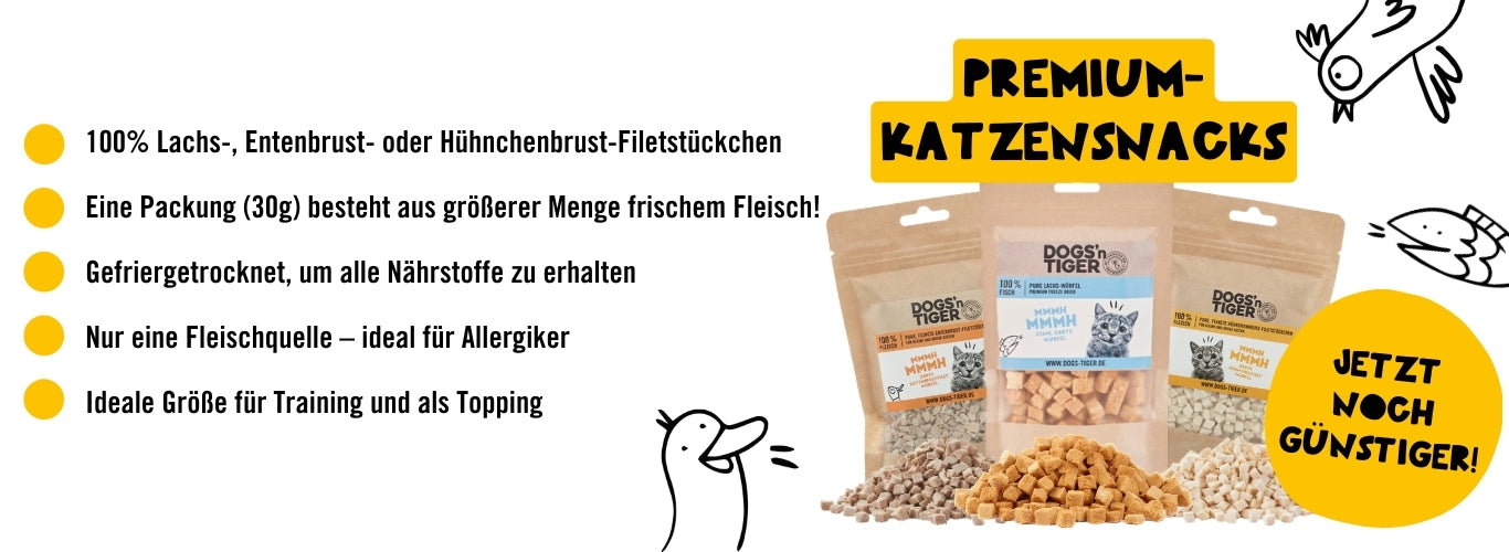 Katzensnacks