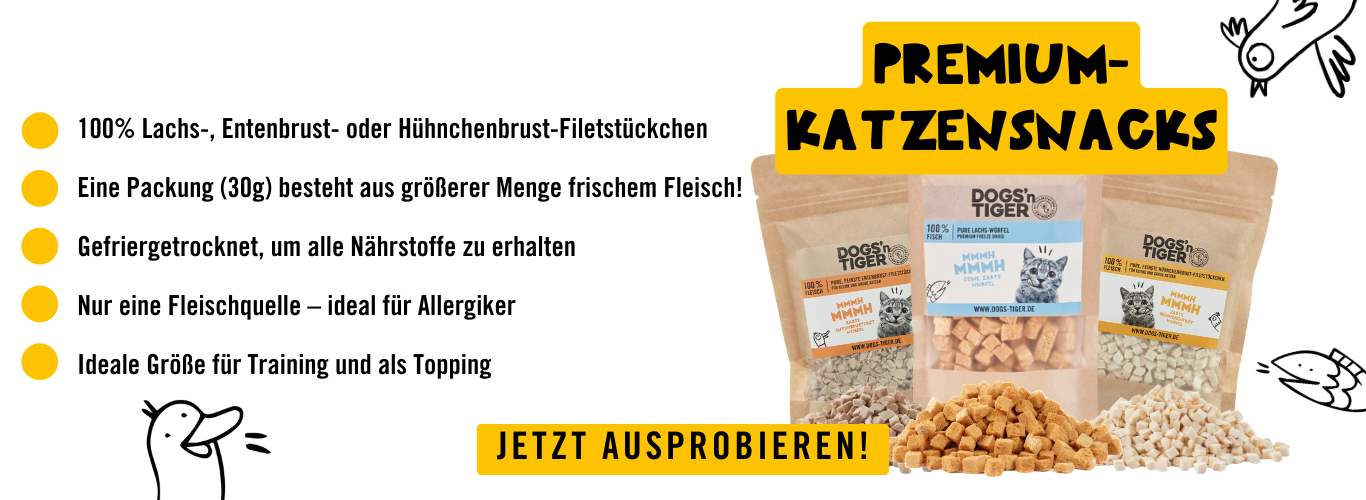 Katzenssnacks